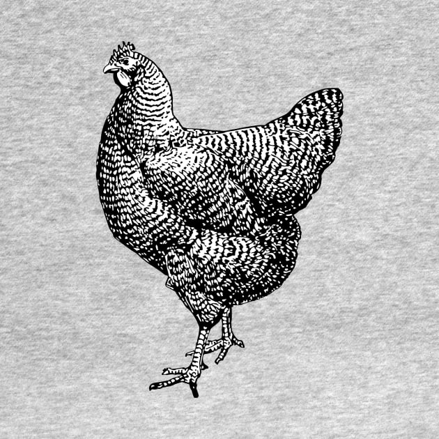 Vintage Barred Plymouth Rock Chicken Hen by Pixelchicken